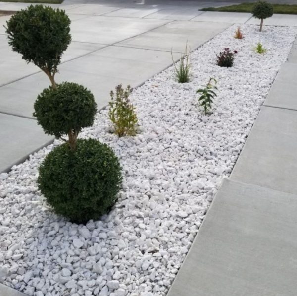 Explore Our Wide Range of Gardening Supplies