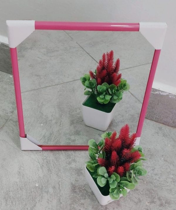 Generic Mirror 10"x12" #229938