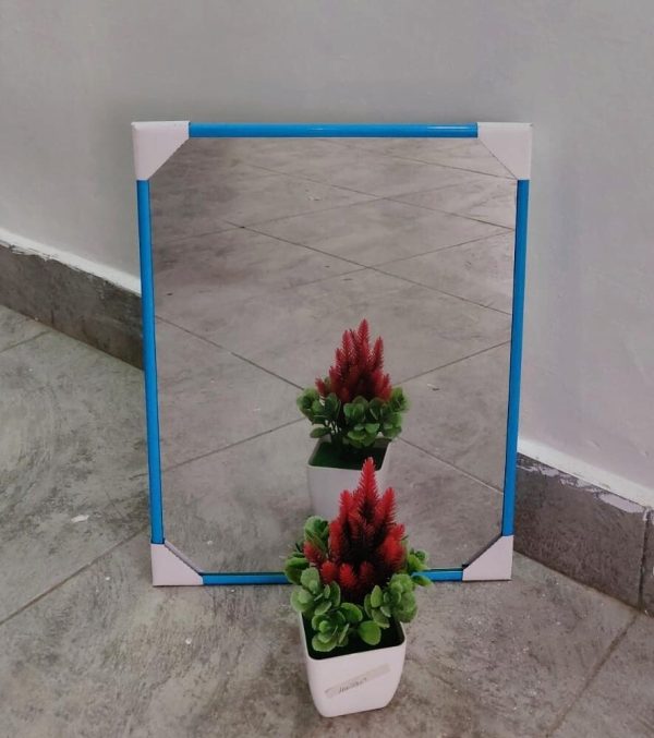 Generic mirror 12"x16" #229939